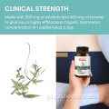 AGEMNEMA ORGANIC SYLVESTE SUPLEMENTO APOIO